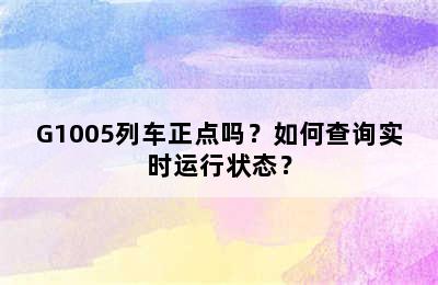 G1005列车正点吗？如何查询实时运行状态？
