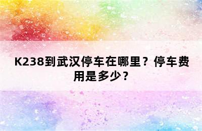 K238到武汉停车在哪里？停车费用是多少？