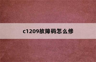 c1209故障码怎么修