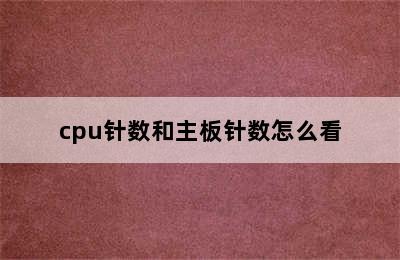 cpu针数和主板针数怎么看