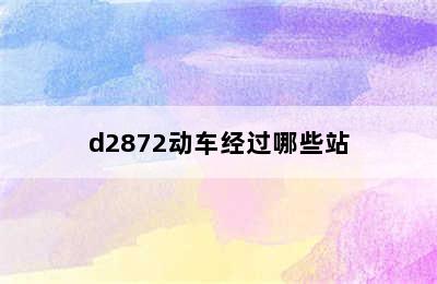 d2872动车经过哪些站