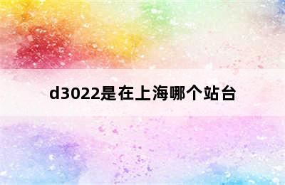 d3022是在上海哪个站台