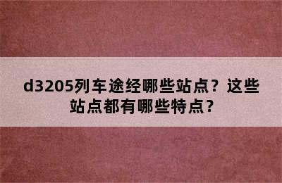 d3205列车途经哪些站点？这些站点都有哪些特点？