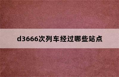 d3666次列车经过哪些站点