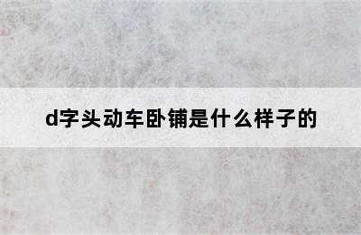 d字头动车卧铺是什么样子的