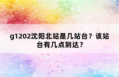 g1202沈阳北站是几站台？该站台有几点到达？