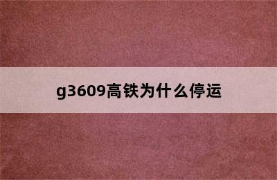 g3609高铁为什么停运