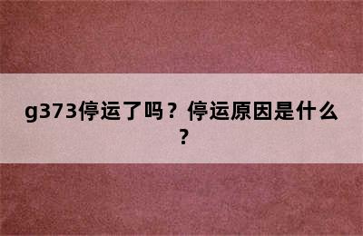 g373停运了吗？停运原因是什么？