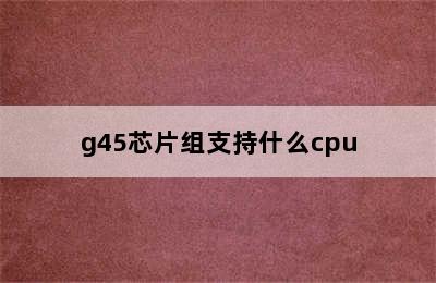 g45芯片组支持什么cpu