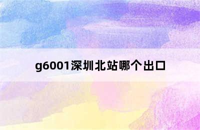 g6001深圳北站哪个出口