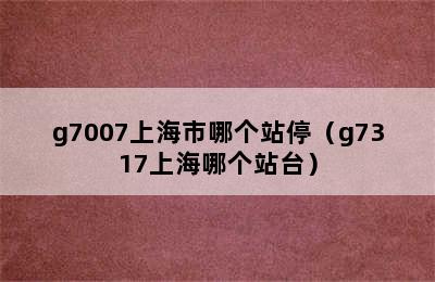 g7007上海市哪个站停（g7317上海哪个站台）