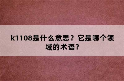 k1108是什么意思？它是哪个领域的术语？