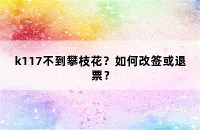 k117不到攀枝花？如何改签或退票？
