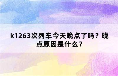 k1263次列车今天晚点了吗？晚点原因是什么？