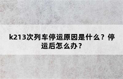 k213次列车停运原因是什么？停运后怎么办？