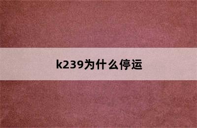 k239为什么停运