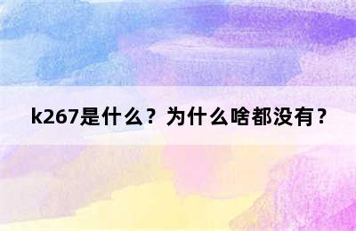 k267是什么？为什么啥都没有？