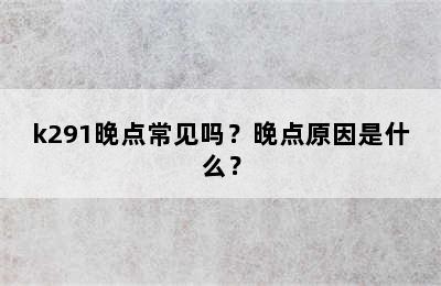 k291晚点常见吗？晚点原因是什么？