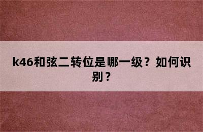 k46和弦二转位是哪一级？如何识别？