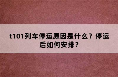 t101列车停运原因是什么？停运后如何安排？