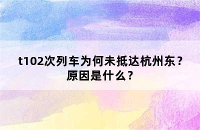 t102次列车为何未抵达杭州东？原因是什么？