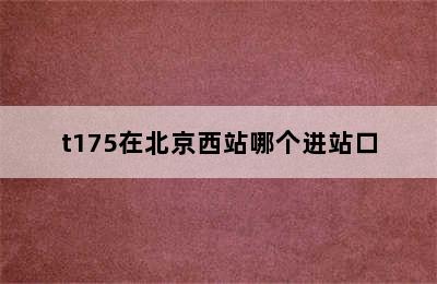 t175在北京西站哪个进站口