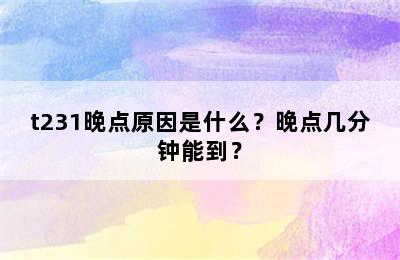 t231晚点原因是什么？晚点几分钟能到？