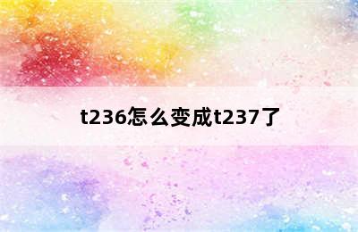 t236怎么变成t237了