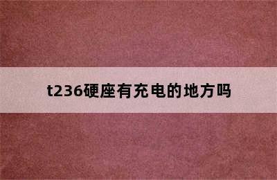 t236硬座有充电的地方吗