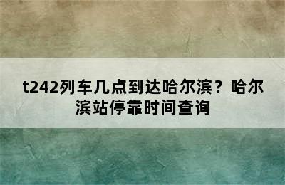 t242列车几点到达哈尔滨？哈尔滨站停靠时间查询