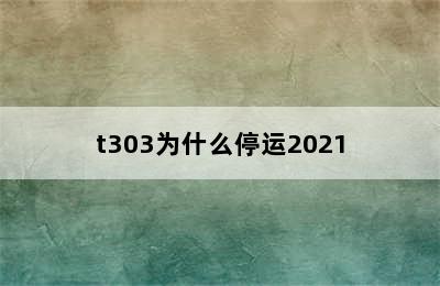 t303为什么停运2021