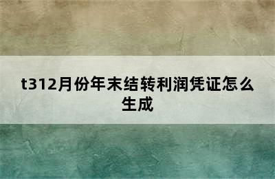 t312月份年末结转利润凭证怎么生成