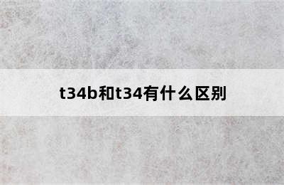 t34b和t34有什么区别