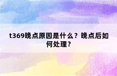 t369晚点原因是什么？晚点后如何处理？