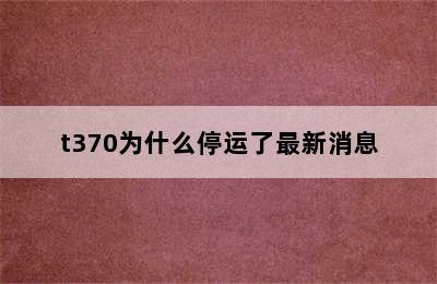 t370为什么停运了最新消息