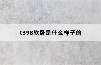 t398软卧是什么样子的