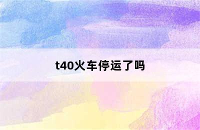 t40火车停运了吗