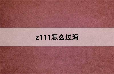 z111怎么过海