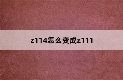 z114怎么变成z111