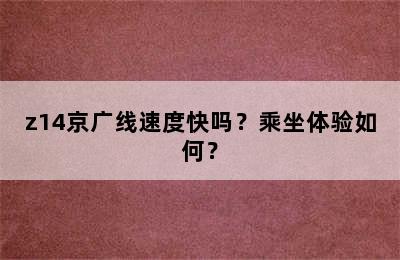 z14京广线速度快吗？乘坐体验如何？
