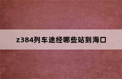 z384列车途经哪些站到海口