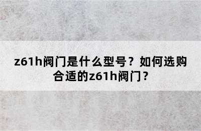 z61h阀门是什么型号？如何选购合适的z61h阀门？