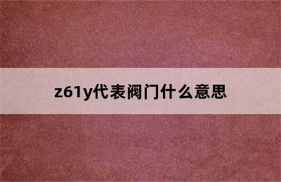 z61y代表阀门什么意思