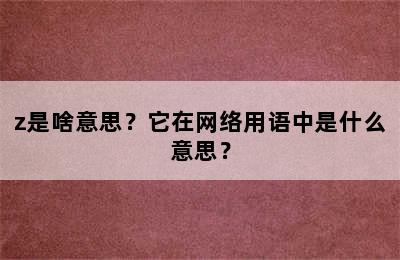 z是啥意思？它在网络用语中是什么意思？