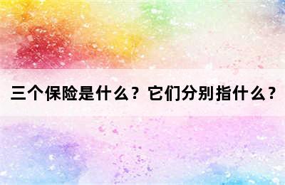 三个保险是什么？它们分别指什么？