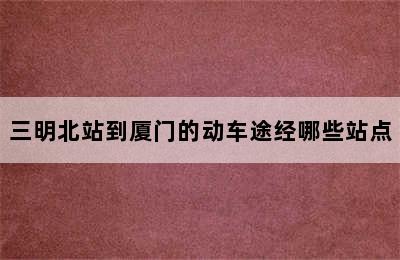 三明北站到厦门的动车途经哪些站点