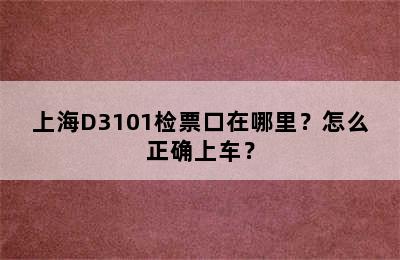 上海D3101检票口在哪里？怎么正确上车？