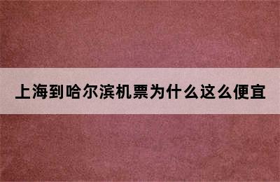 上海到哈尔滨机票为什么这么便宜