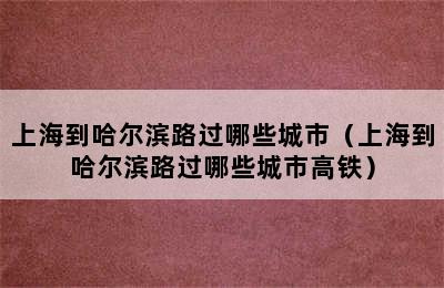 上海到哈尔滨路过哪些城市（上海到哈尔滨路过哪些城市高铁）