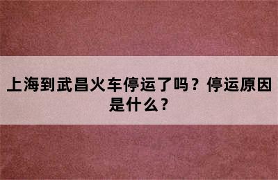上海到武昌火车停运了吗？停运原因是什么？